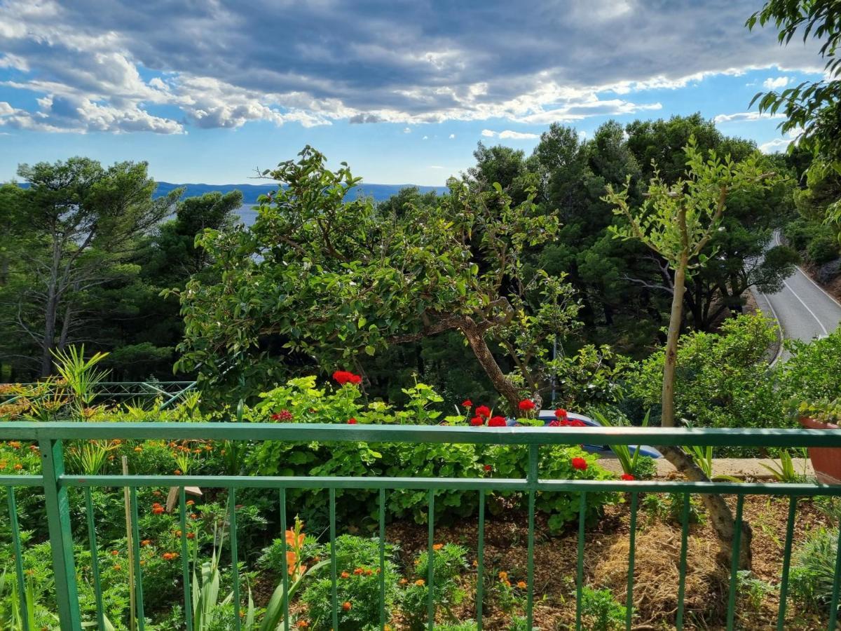 Guesthouse Dominovic بريلا المظهر الخارجي الصورة